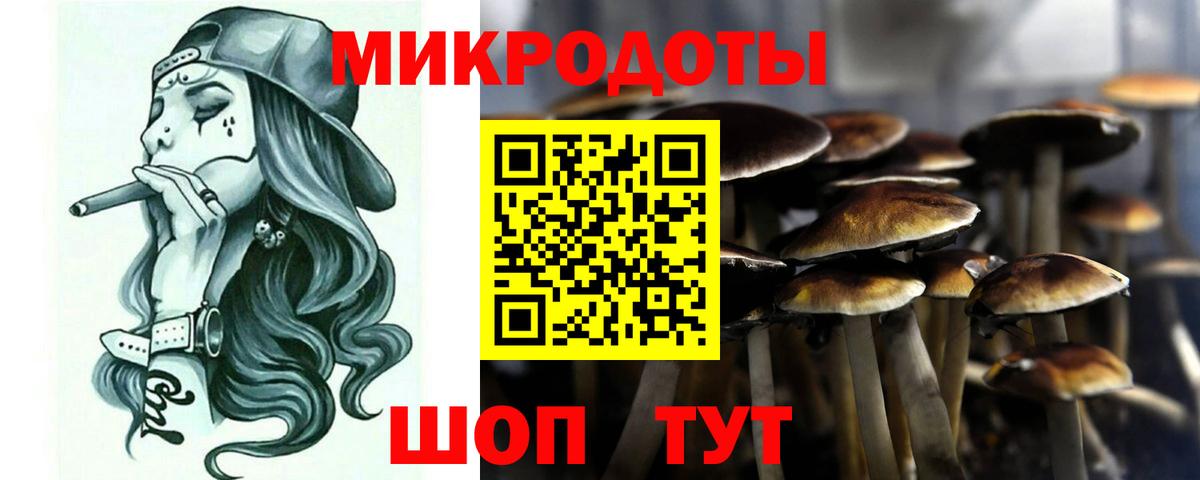 Сунжа  Галлюциногенные грибы мицелий  Вход с VPN 